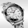 DIVER 300M CO‑AXIAL MASTER CHRONOMETER 42 MM-210.30.42.20.04.001
