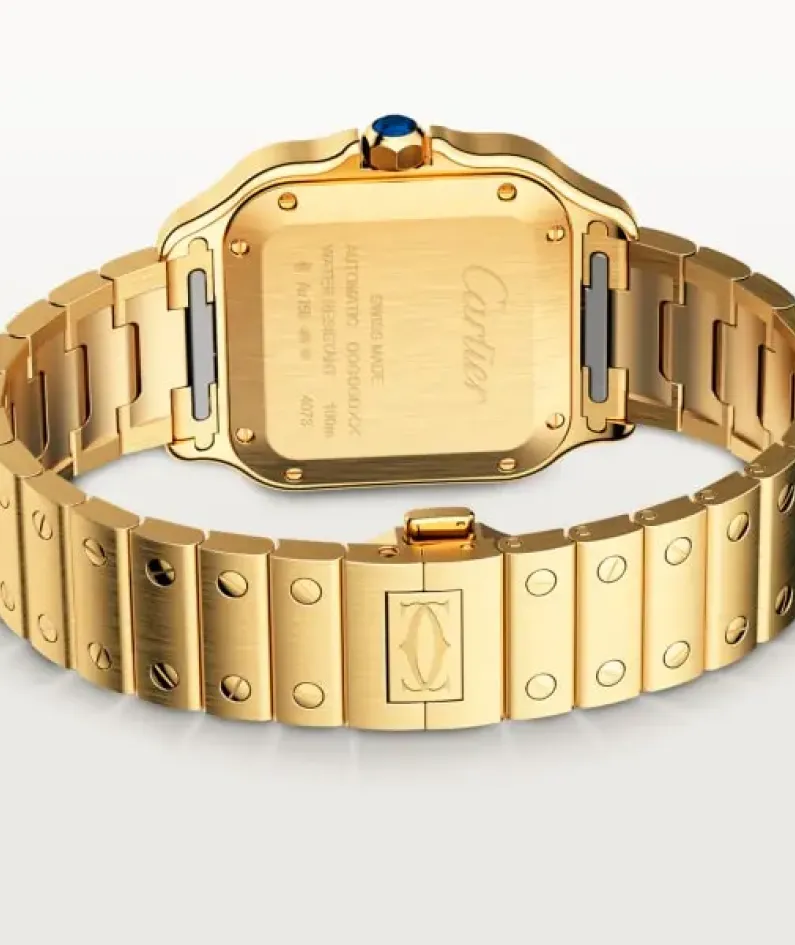 CARTIER santos 18kt Yellow Gold Men's WatchItem -WGSA0007(AAAAA)