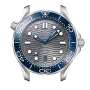 DIVER 300M CO‑AXIAL MASTER CHRONOMETER 42 MM-210.32.42.20.06.001