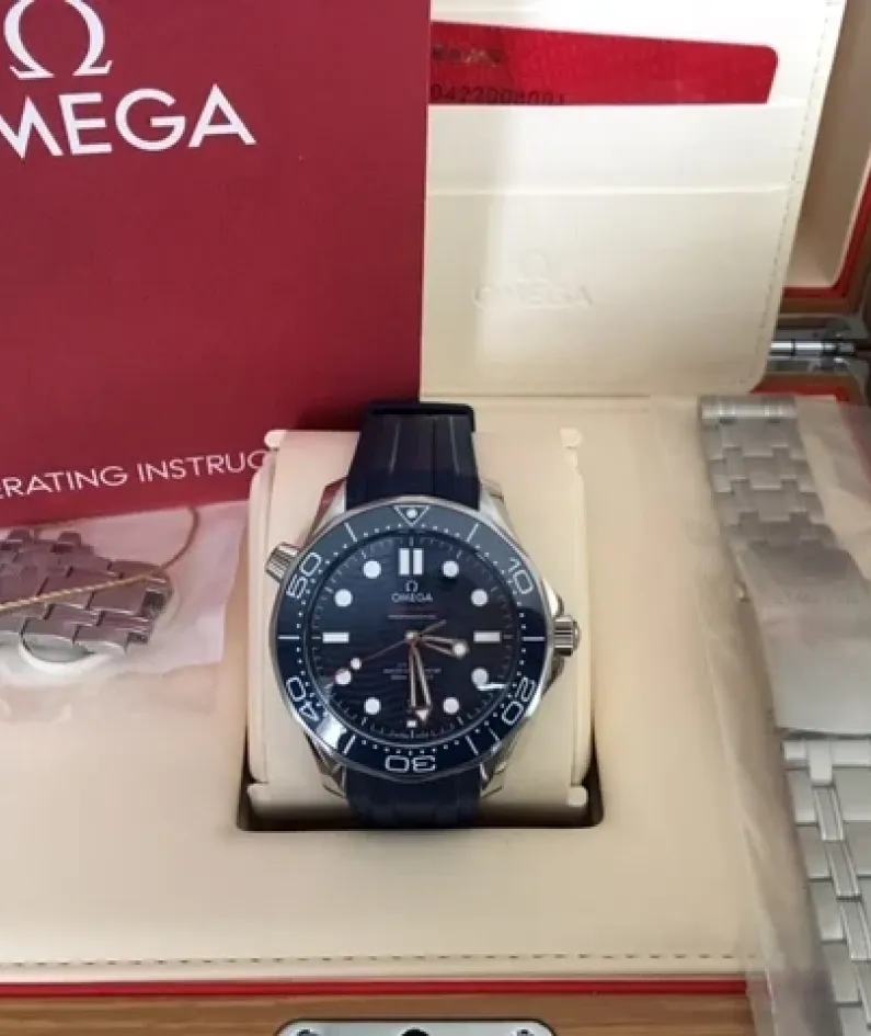 DIVER 300M CO‑AXIAL MASTER CHRONOMETER 42 MM