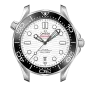 DIVER 300M CO‑AXIAL MASTER CHRONOMETER 42 MM-210.32.42.20.04.001