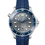 DIVER 300M CO‑AXIAL MASTER CHRONOMETER 42 MM