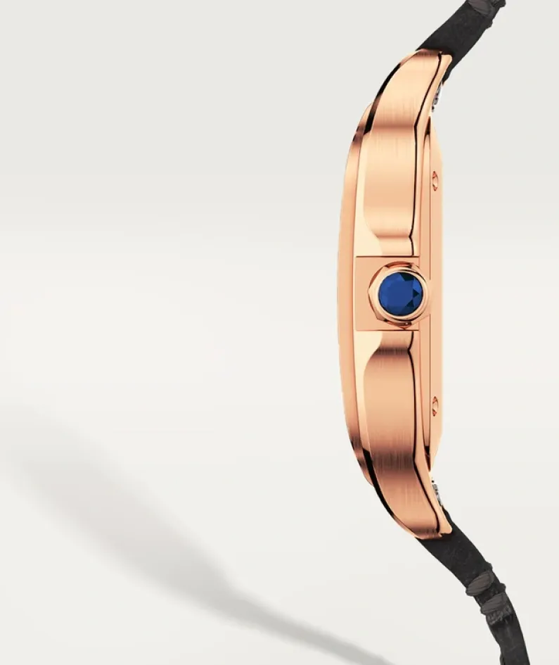 SANTOS DE CARTIER WATCH -WGSA0028