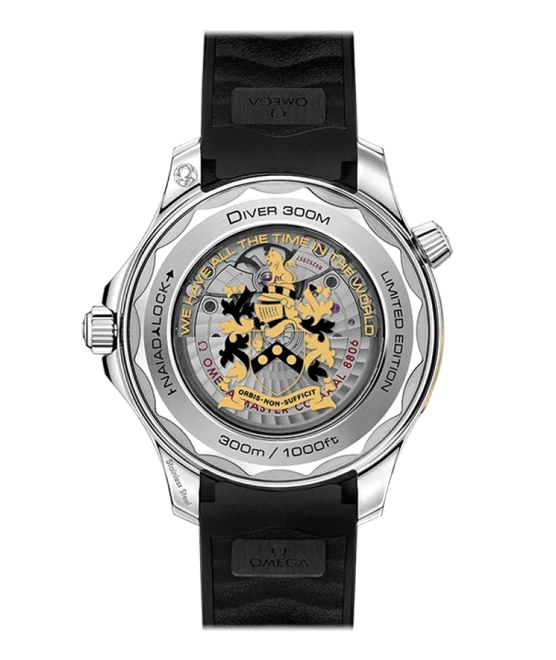 DIVER 300M CO‑AXIAL MASTER CHRONOMETER 42 MM