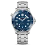 DIVER 300M CO‑AXIAL MASTER CHRONOMETER 42 MM-210.30.42.20.03.001