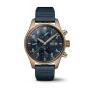 IWC pilot series IW388109 watch
