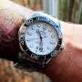 DIVER 300M CO‑AXIAL MASTER CHRONOMETER 42 MM-210.30.42.20.04.001