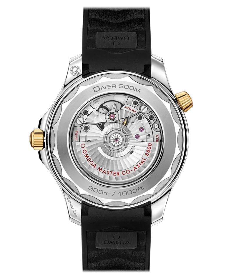 DIVER 300M CO‑AXIAL MASTER CHRONOMETER 42 MM-210.22.42.20.01.001