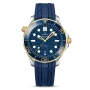 DIVER 300M CO‑AXIAL MASTER CHRONOMETER 42 MM-210.22.42.20.03.001