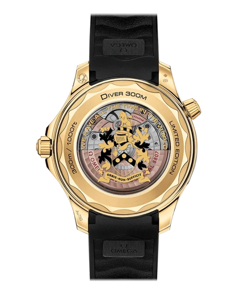 DIVER 300M CO‑AXIAL MASTER CHRONOMETER 42 MM