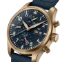 IWC pilot series IW388109 watch