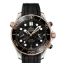 DIVER 300M CO‑AXIAL MASTER CHRONOMETER 42 MM