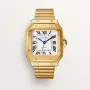 CARTIER santos 18kt Yellow Gold Men's WatchItem -WGSA0007(AAAAA)