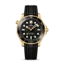 DIVER 300M CO‑AXIAL MASTER CHRONOMETER 42 MM