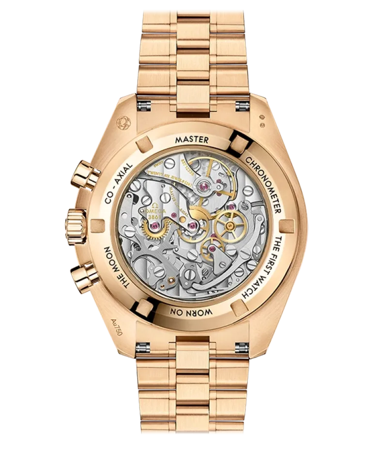 MOONWATCH PROFESSIONAL CO‑AXIAL MASTER CHRONOMETER CHRONOGRAPH 42 MM-310.60.42.50.10.001