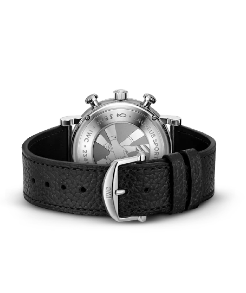 IWC Portofino IW391408 watch