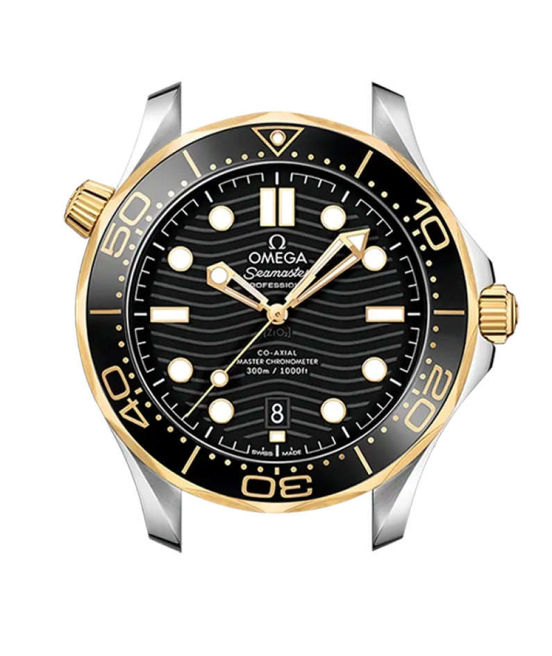 DIVER 300M CO‑AXIAL MASTER CHRONOMETER 42 MM-210.22.42.20.01.001