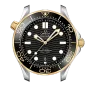 DIVER 300M CO‑AXIAL MASTER CHRONOMETER 42 MM-210.22.42.20.01.001
