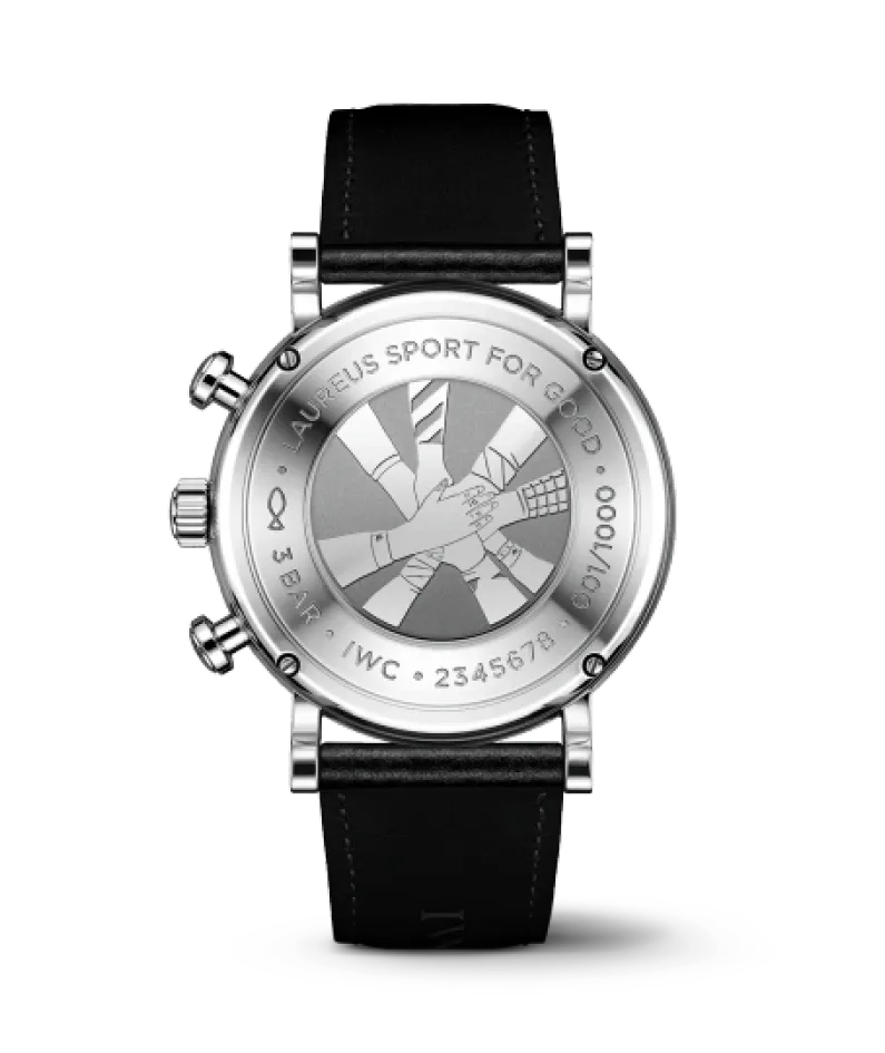IWC Portofino IW391408 watch