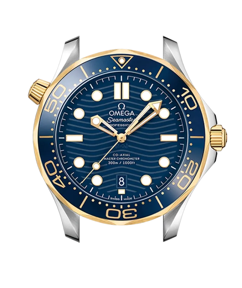 DIVER 300M CO‑AXIAL MASTER CHRONOMETER 42 MM-210.22.42.20.03.001