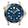 DIVER 300M CO‑AXIAL MASTER CHRONOMETER 42 MM-210.22.42.20.03.001