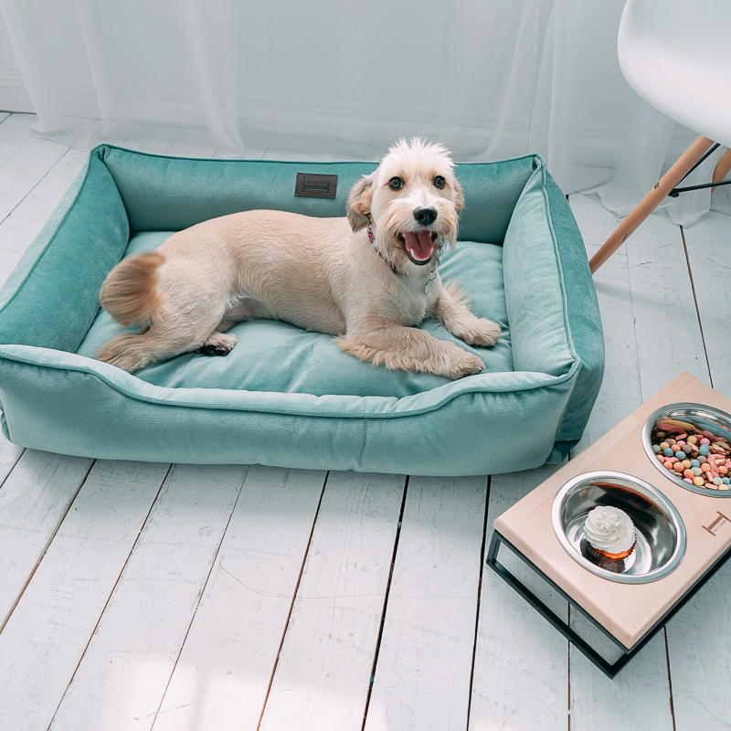 Pet bed Turquoise velvet mat for small dog / Small dog nesting / Cyan plush puppy pillow / Washable and removable cover Easy to Clean